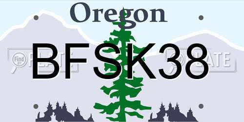 BFSK38 Oregon License Plate
