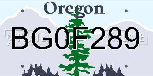 BG0F289 Oregon License Plate