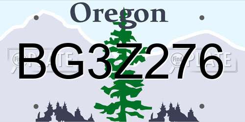 BG3Z276 Oregon License Plate