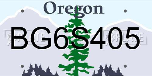 BG6S405 Oregon License Plate
