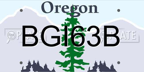 BGI63B Oregon License Plate