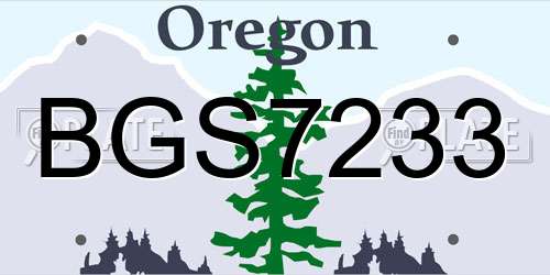 BGS7233 Oregon License Plate