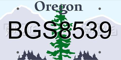 BGS8539 Oregon License Plate