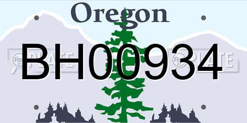 BH00934 Oregon License Plate