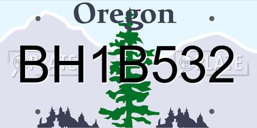 BH1B532 Oregon License Plate