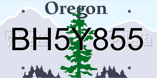 BH5Y855 Oregon License Plate