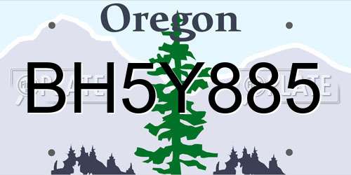 BH5Y885 Oregon License Plate