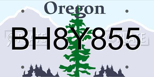 BH8Y855 Oregon License Plate