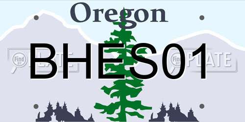 BHES01 Oregon License Plate