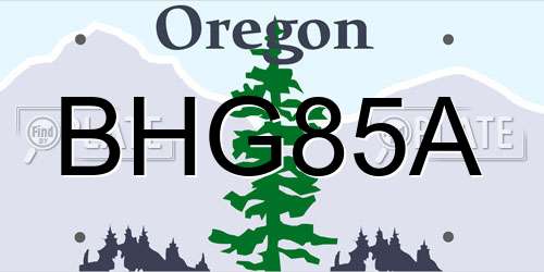 BHG85A Oregon License Plate
