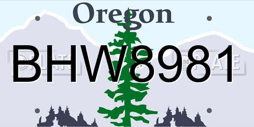 BHW8981 Oregon License Plate