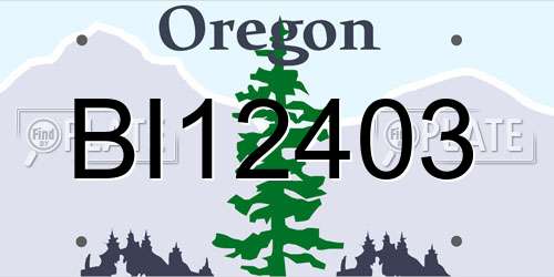 BI12403 Oregon License Plate