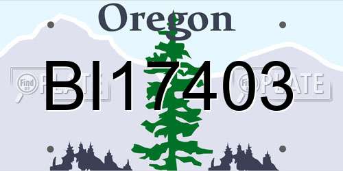 BI17403 Oregon License Plate