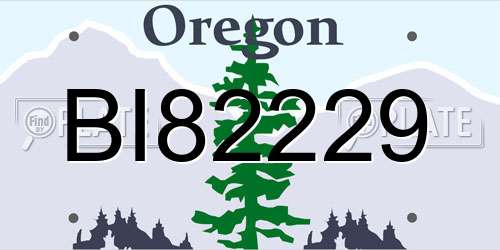 BI82229 Oregon License Plate