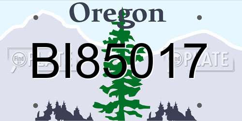 BI85017 Oregon License Plate