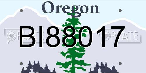 BI88017 Oregon License Plate