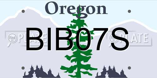 BIB07S Oregon License Plate