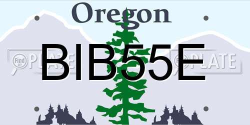 BIB55E Oregon License Plate