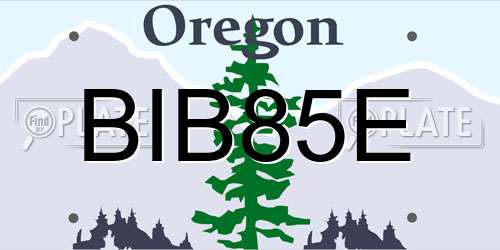 BIB85E Oregon License Plate