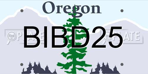 BIBD25 Oregon License Plate