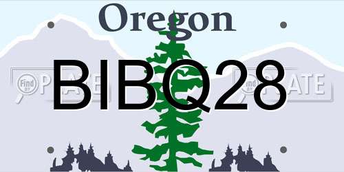 BIBQ28 Oregon License Plate