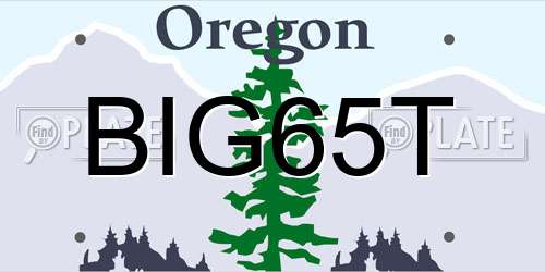 BIG65T Oregon License Plate