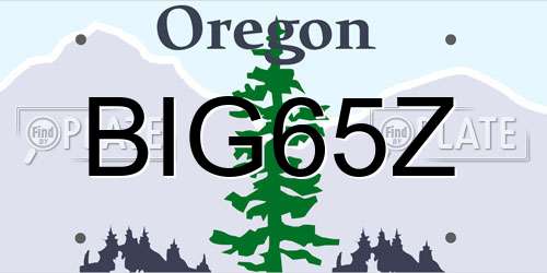 BIG65Z Oregon License Plate