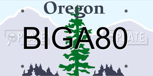 BIGA80 Oregon License Plate