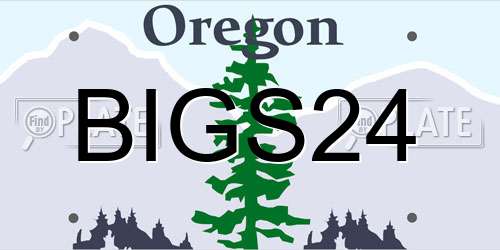 BIGS24 Oregon License Plate
