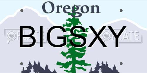 BIGSXY Oregon License Plate