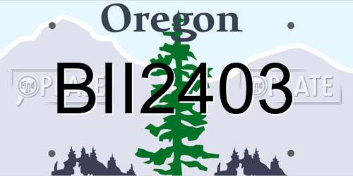 BII2403 Oregon License Plate
