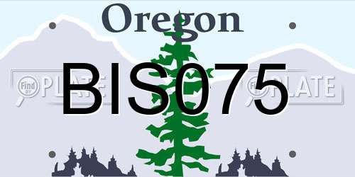 BIS075 Oregon License Plate