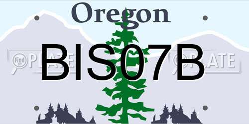 BIS07B Oregon License Plate