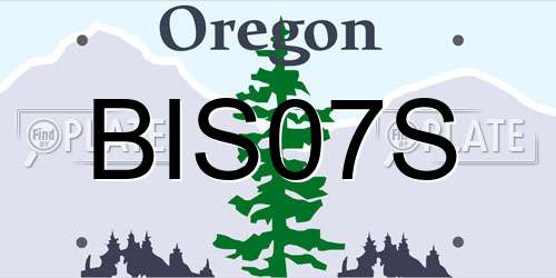 BIS07S Oregon License Plate