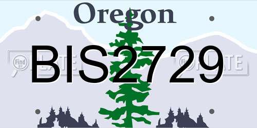 BIS2729 Oregon License Plate
