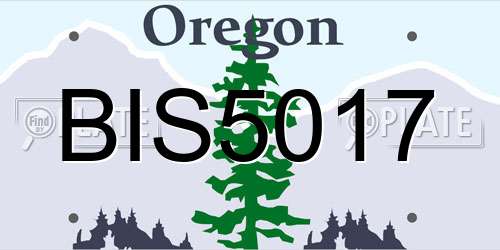 BIS5017 Oregon License Plate
