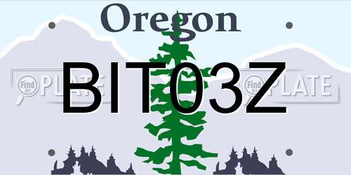 BIT03Z Oregon License Plate
