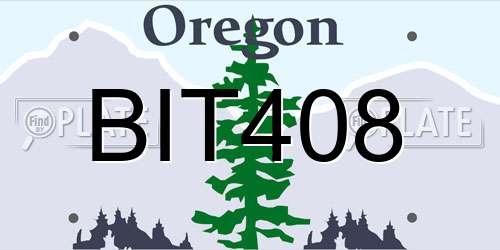 BIT408 Oregon License Plate