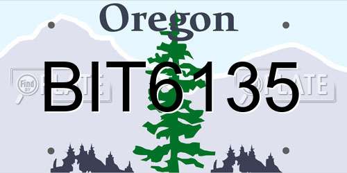 BIT6135 Oregon License Plate