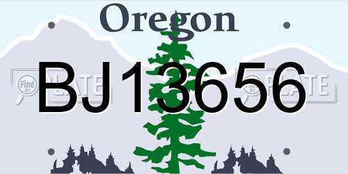BJ13656 Oregon License Plate