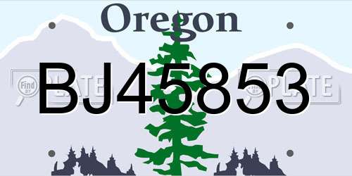 BJ45853 Oregon License Plate