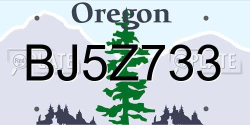 BJ5Z733 Oregon License Plate