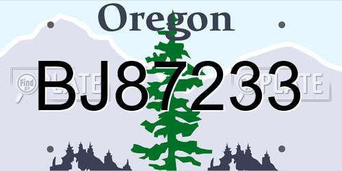 BJ87233 Oregon License Plate