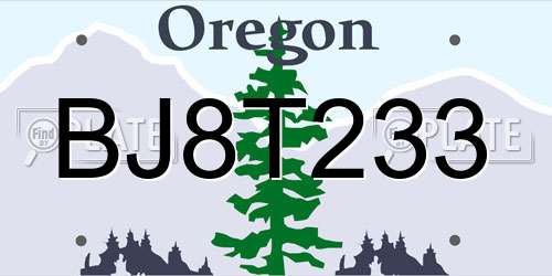 BJ8T233 Oregon License Plate