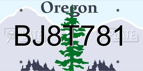 BJ8T781 Oregon License Plate