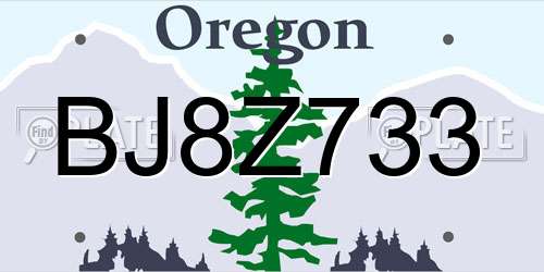 BJ8Z733 Oregon License Plate