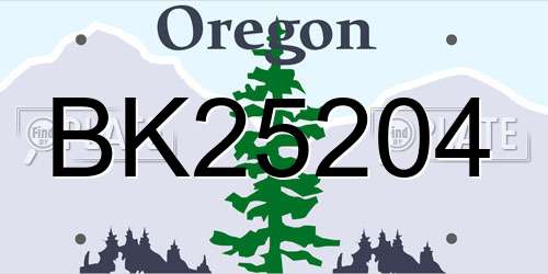 BK25204 Oregon License Plate