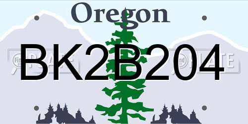 BK2B204 Oregon License Plate