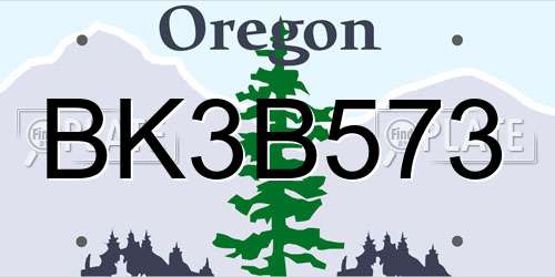 BK3B573 Oregon License Plate