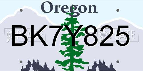 BK7Y825 Oregon License Plate